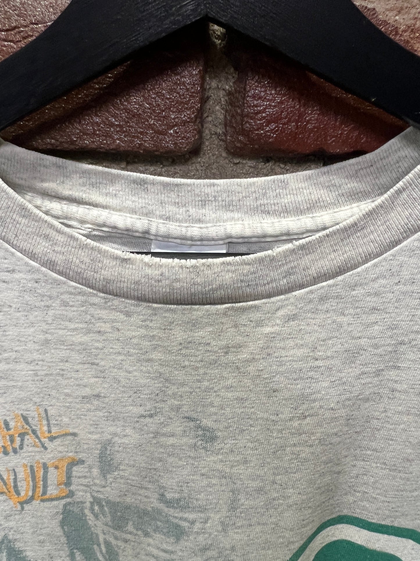 1991 Green Bay Packers Salem Tee